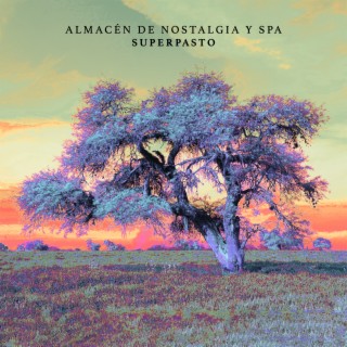 Almacén de Nostalgia y Spa