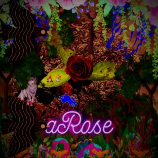 aRose