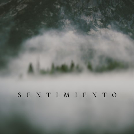 SENTIMIENTO | Boomplay Music