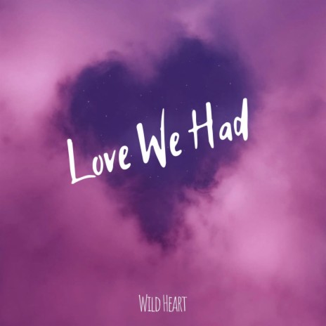 Love We Had | Boomplay Music