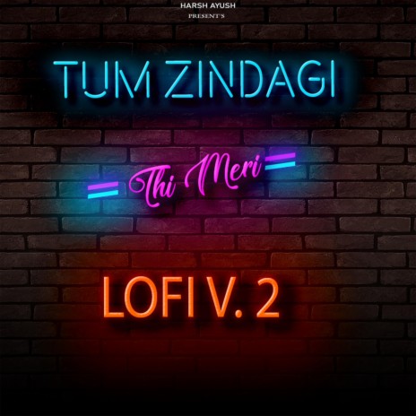 Tum Zindagi Thi Meri LOFI V. 2 ft. Ayush Raja | Boomplay Music
