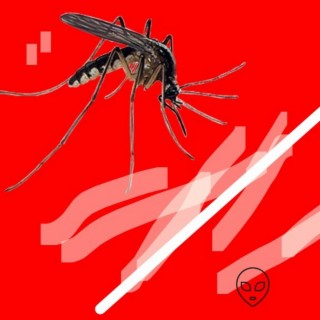 Mistreated Mosquito