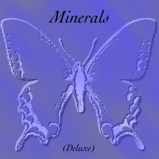 Minerals (Deluxe Tracks Only)