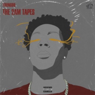 THE 2AM TAPES
