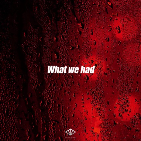 What we had (Instrumental) | Boomplay Music