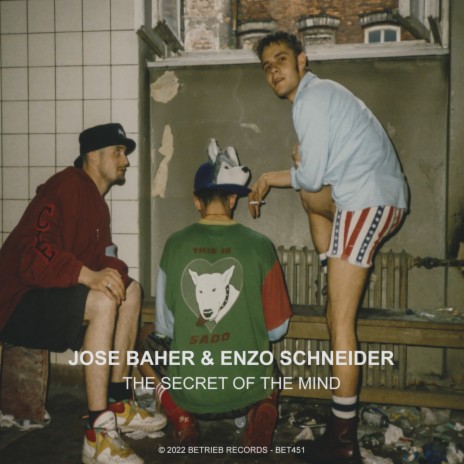 The Secret of the Mind ft. Enzo Schneider | Boomplay Music