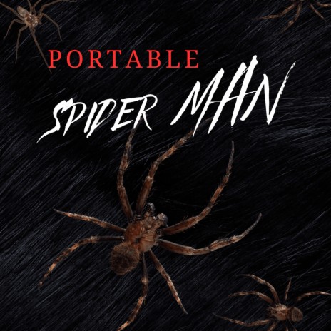 Portable Spider Man | Boomplay Music