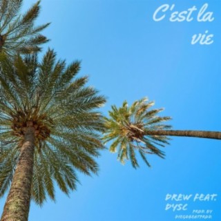 C'est la vie (feat. DYSC)