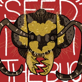 Seed