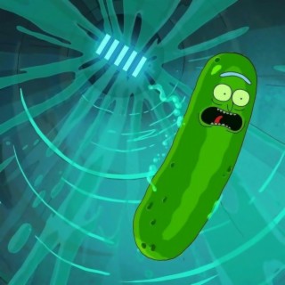 pickle rick