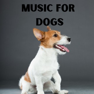 Music For Dogs