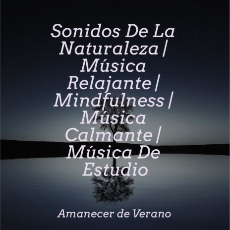 Brillo Mañanero Resonante ft. MEDITATION SPA & Massage Therapy Music | Boomplay Music