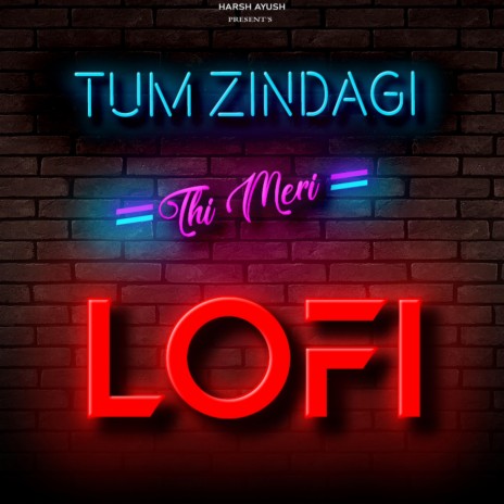 Tum Zindagi Thi Meri LOFI ft. Ayush Raja | Boomplay Music
