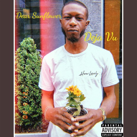 Dear Sunflower | Boomplay Music