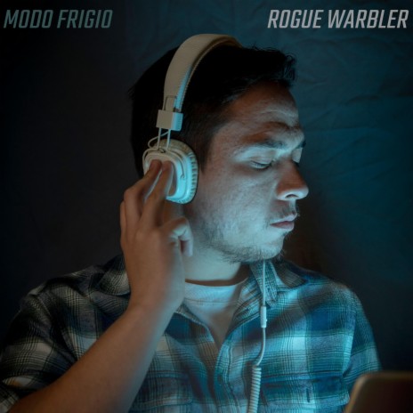 Rogue Warbler | Boomplay Music