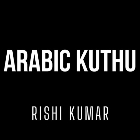 Arabic Kuthu (Instrumental Version) | Boomplay Music