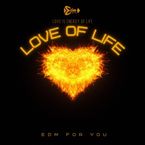 Love Of Life | Boomplay Music