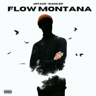 Flow Montana