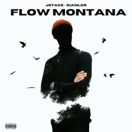 Flow Montana ft. Eianler