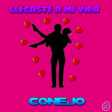 Llegaste a mi vida | Boomplay Music