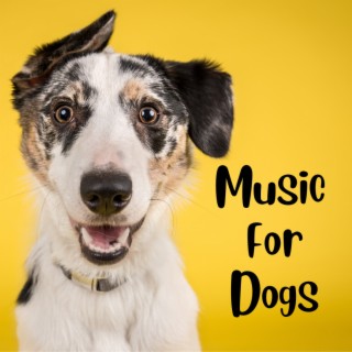 Music For Dogs