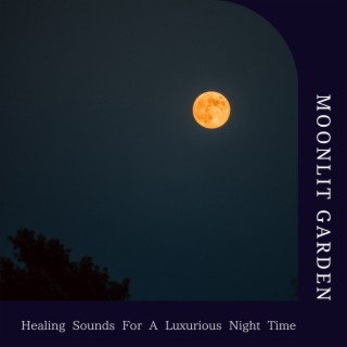 Healing Sounds For A Luxurious Night Time