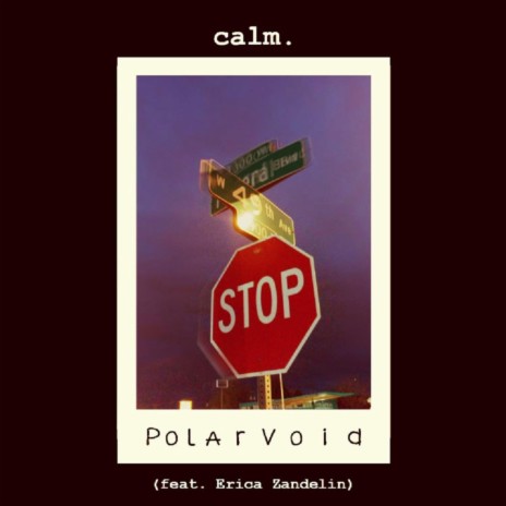 Polarvoid (feat. Erica Zandelin)