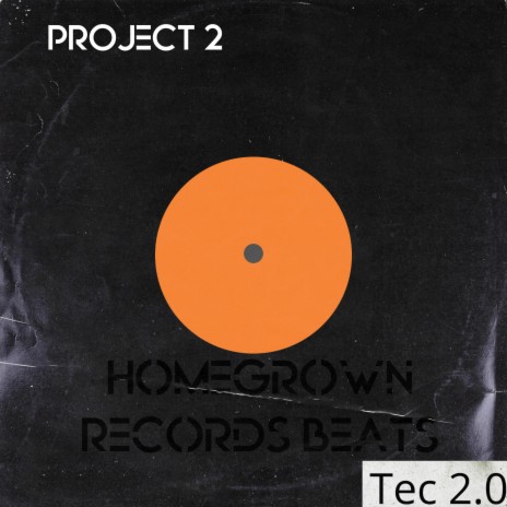 Project 2 (House Music Tec 2.0) | Boomplay Music