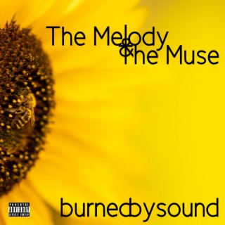 The Melody And The Muse lyrics | Boomplay Music