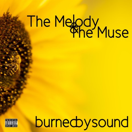 The Melody And The Muse | Boomplay Music
