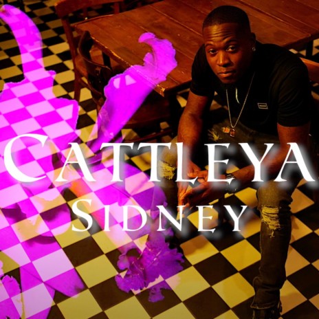 cattleya | Boomplay Music