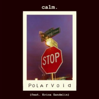 Polarvoid (feat. Erica Zandelin)