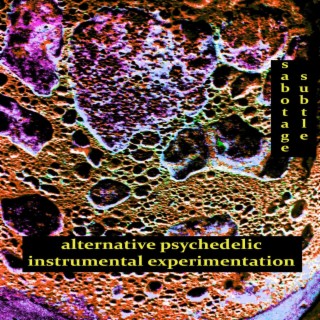 alternative psychedelic instrumental experimentation