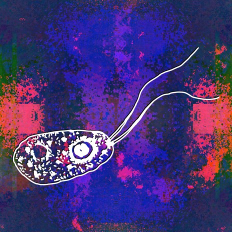 Brain Eating Amoeba | Boomplay Music