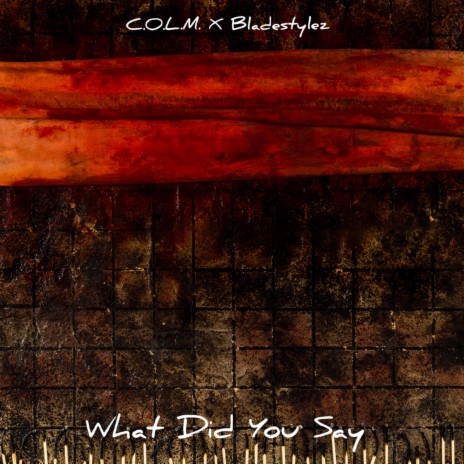 What Did You Say (Radio Edit) ft. Colm | Boomplay Music