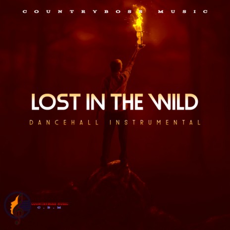 Lost in the wild | Boomplay Music