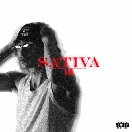 SATIVA | Boomplay Music