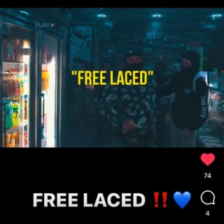 Free Laced