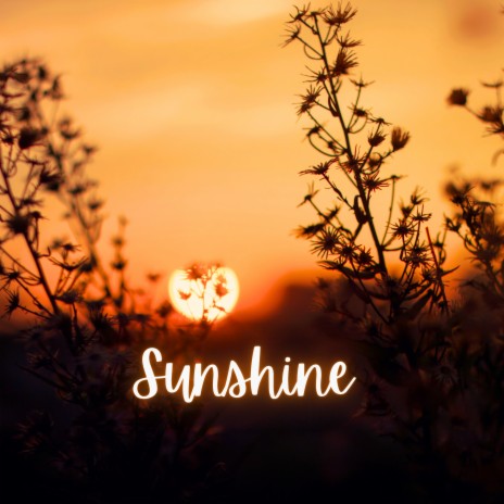 Sunshine | Boomplay Music