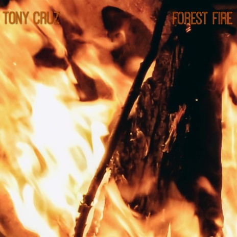 Forest Fire | Boomplay Music