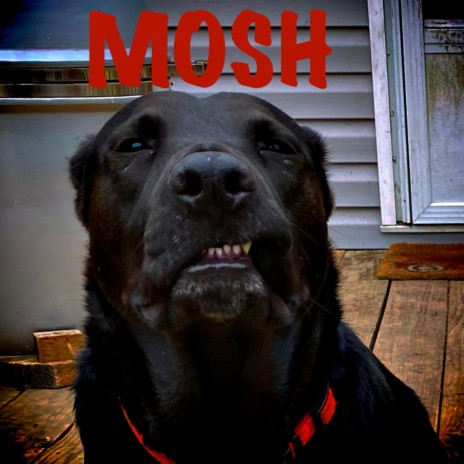 Mosh | Boomplay Music