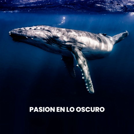 Ballenas Cantando En El Oscuro Oceano ft. Sonidos De La Naturaleza | Boomplay Music