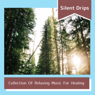 Collection Of Relaxing Music For Healing