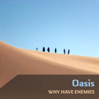 Why Have Enemies