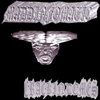 Maddinfomatic