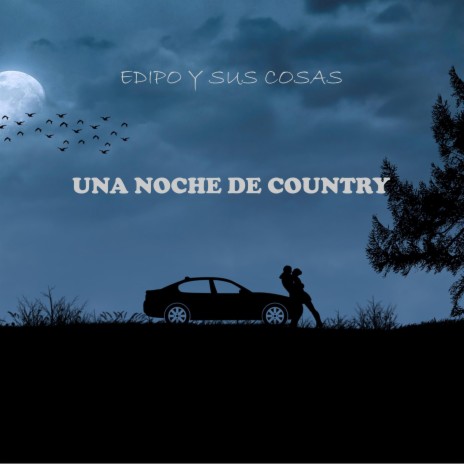 Una Noche de Country | Boomplay Music