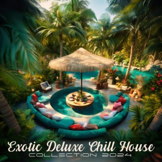 Exotic Deluxe Chill House Collection 2024: Ibiza Beach Club Elite