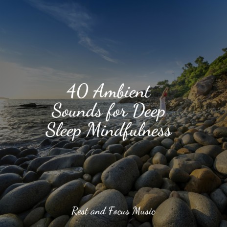 Sleep Sounds | Boomplay Music