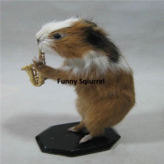 Funny Squirrel