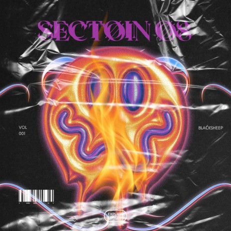 Sectoin 08 (Remix) | Boomplay Music